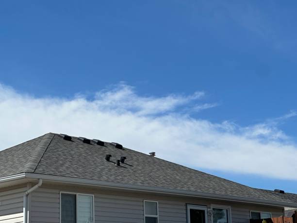 Best Skylight Installation and Repair  in South Duxbury, MA